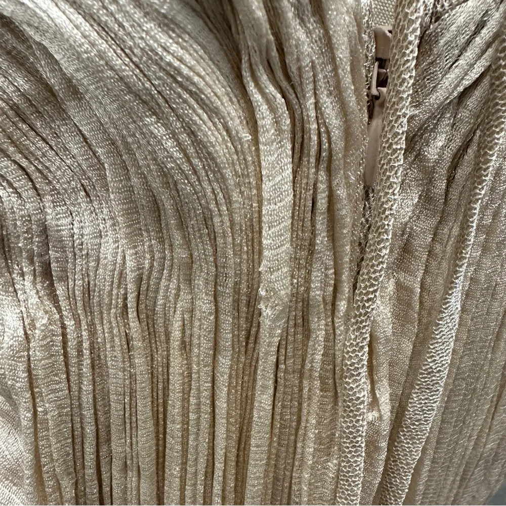 Maria Lucia Hohan Camilla Metallic Silk Bustier Gown $3,730 - Picture 6 of 10